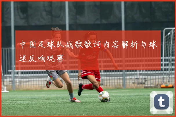 中国足球队战歌歌词内容解析与球迷反响观察