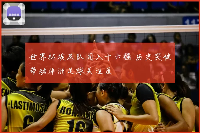 世界杯埃及队闯入十六强 历史突破带动非洲足球关注度