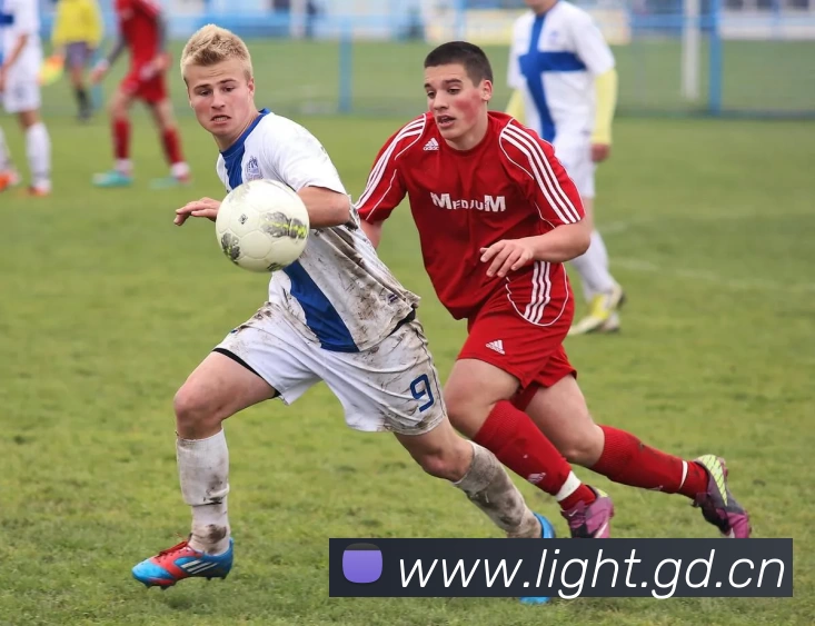 数据防护可视化